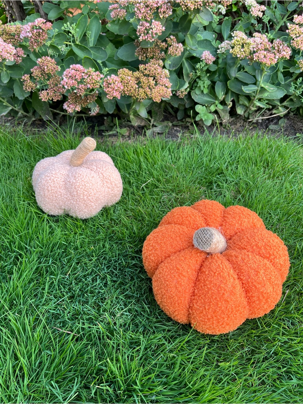 Cozy Fall ORANGE Pumpkin - Picture 9 of 11